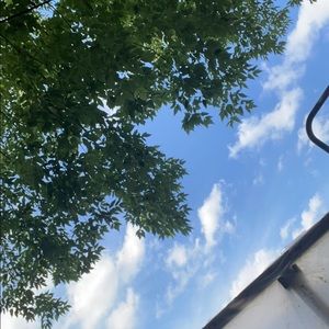 Meet your Posher, Avery